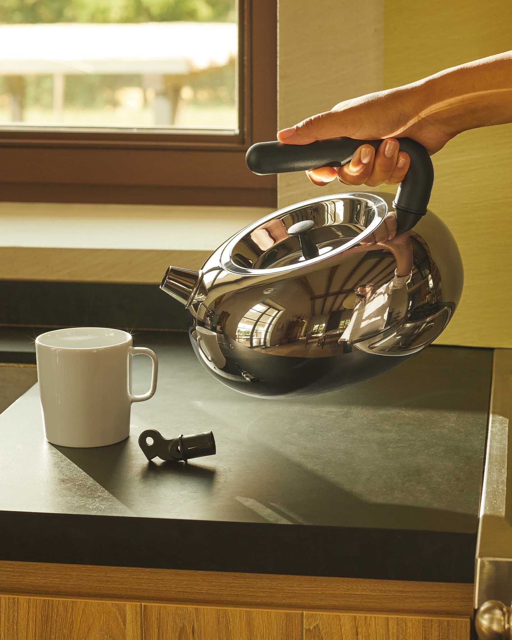 Bulbul — Achille Castiglioni pentru Alessi 2