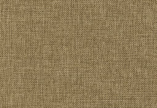 Bold Armchair 10