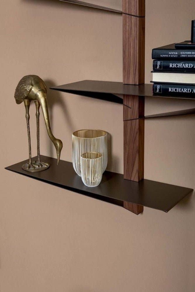 Biblioteca Albatros 2