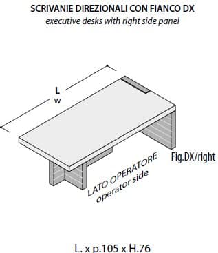 Birou Directorial Jera 12
