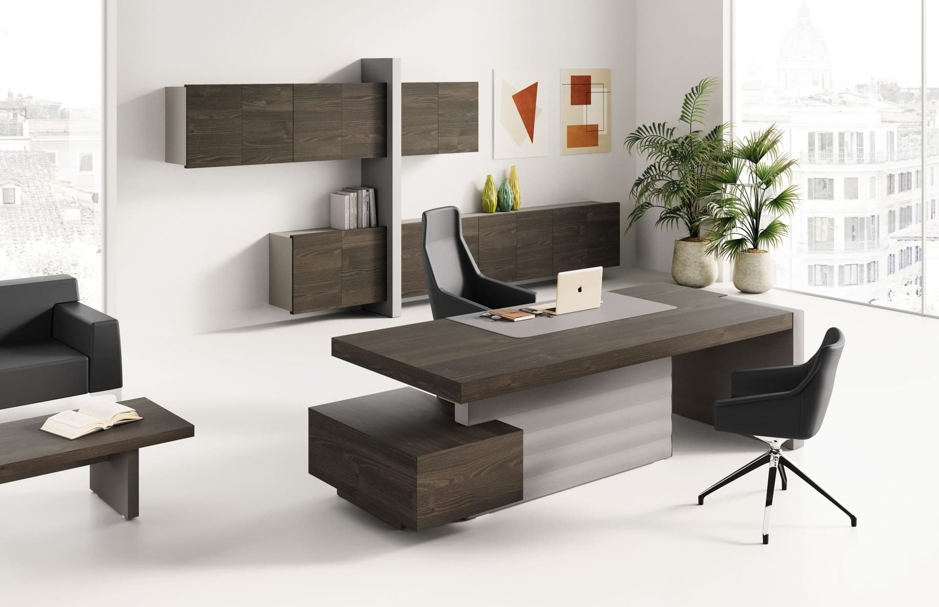 Birou Directorial Jera 3