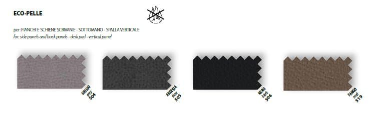 Birou Directorial Jera 9