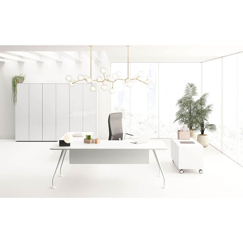 Birou Directorial Enosi 4