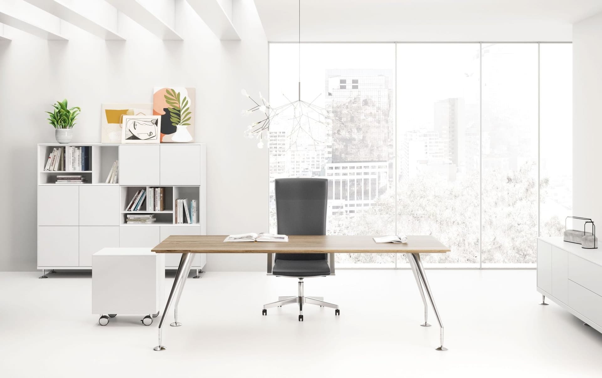 Birou Directorial Enosi 5