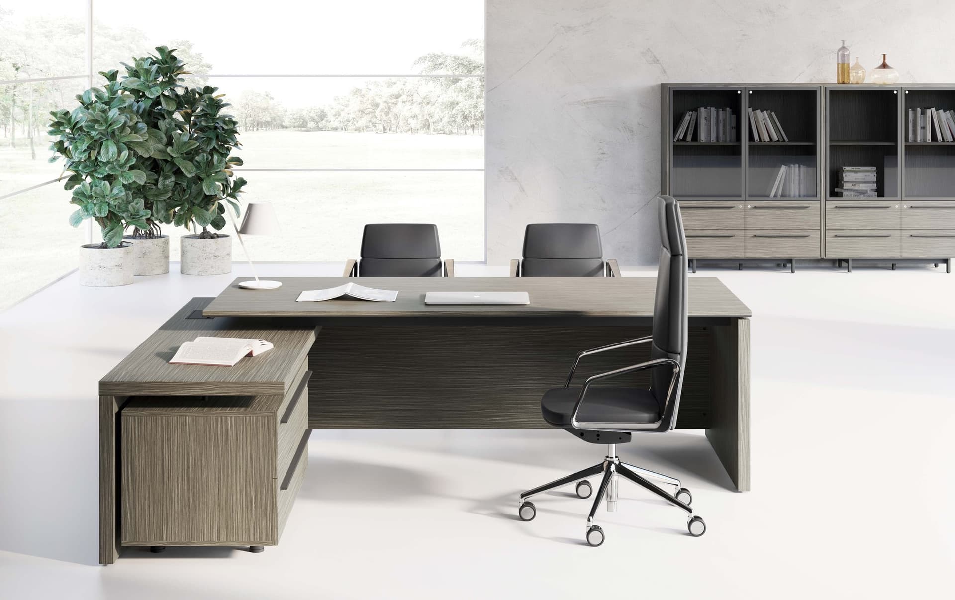 Birou Directorial EOS 5