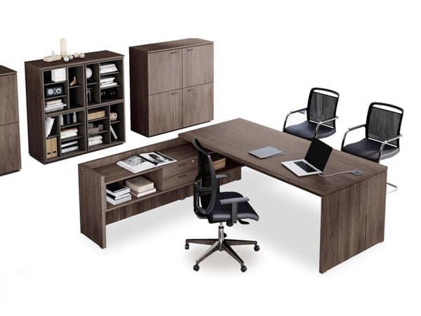 Birou Directorial Delta 5