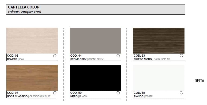 Birou Directorial Delta 5