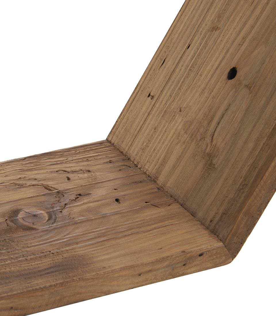 Polita hexagonala 1 J130 3