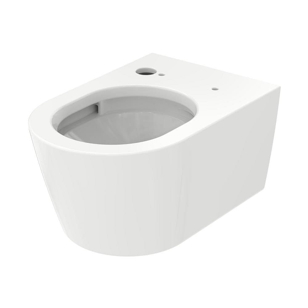 Set WASHLET® RW Auto Flush cu finisaj argintiu, incl. telecomandă, + WC RP, suspendat 3