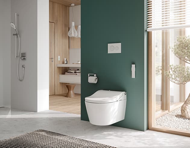 WASHLET® RW cu finisaj argintiu incl. telecomandă 8