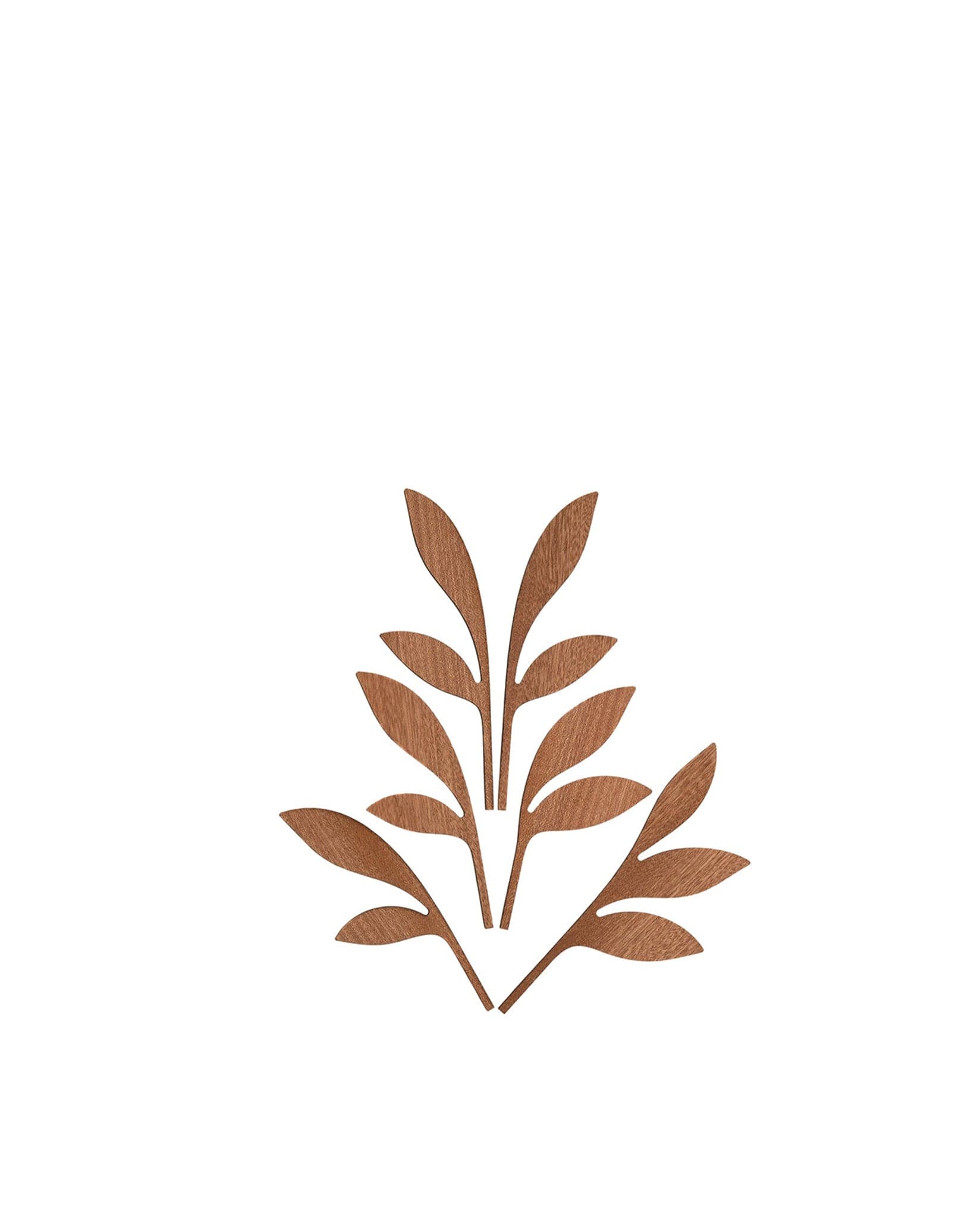 The Five Seasons — Marcel Wanders pentru Alessi