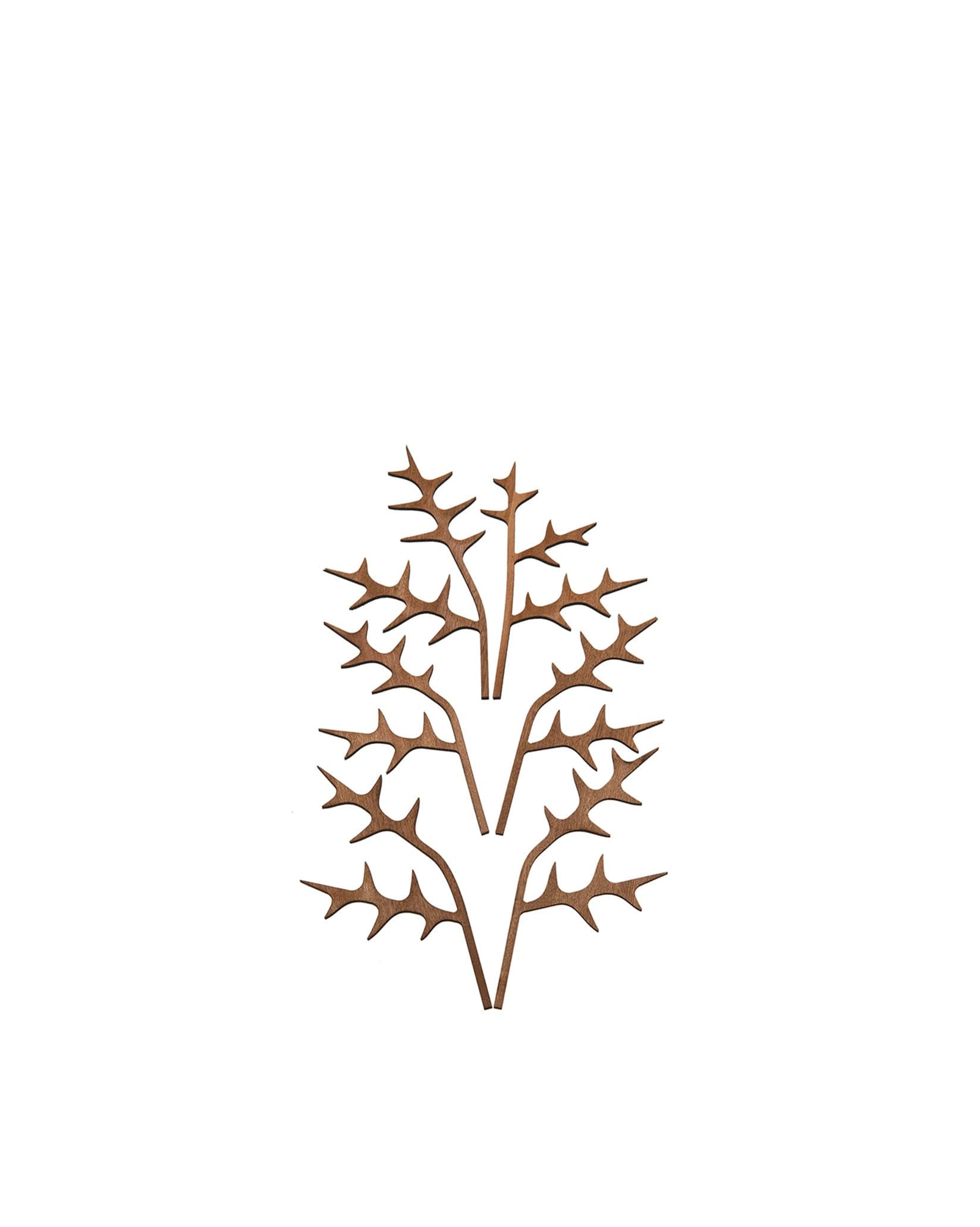 The Five Seasons — Marcel Wanders pentru Alessi